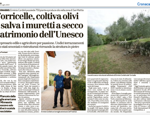 Torricelle, grows olive trees and saves dry stone walls, Unesco heritage site